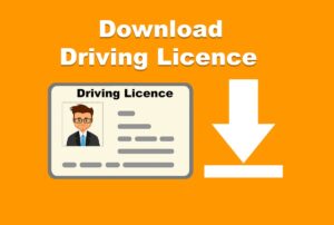 Download Driving Licence